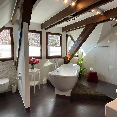 Haffke By Interhome Holiday home Owingen
