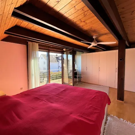 Haffke By Interhome Holiday home Owingen